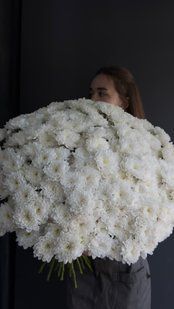 хризантеми 150 грн шт