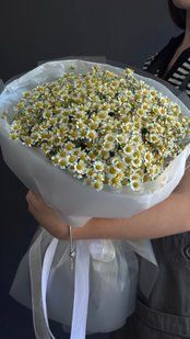 хризантема-танацетум 15 шт